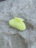 Pandan Silk